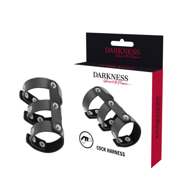 Darkness - Anillo Doble Pene Y Testiculos Ajustable Leather