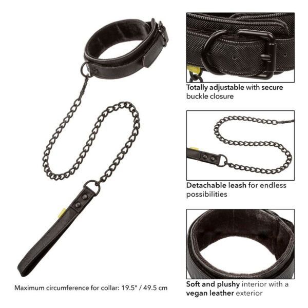 Calexotics - Boundless Collar Con Correa - Imagen 2