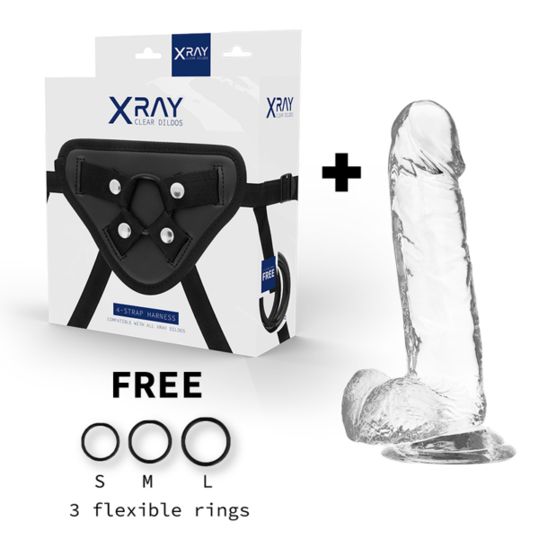 X Ray - Arnés + Dildo Realista Transparente 20 Cm -O- 4.5 Cm - Imagen 2