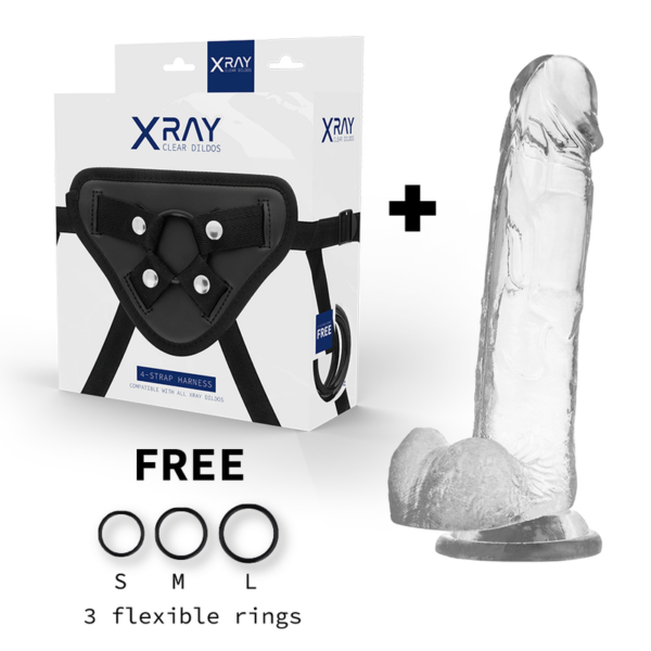 X Ray - Arnés + Dildo Realista Transparente 22 Cm -O- 4.6 Cm - Imagen 2