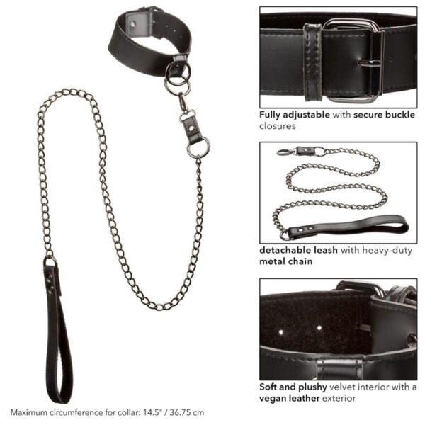 Calexotics - Euphoria Collar Con Correa De Cadena - Imagen 8