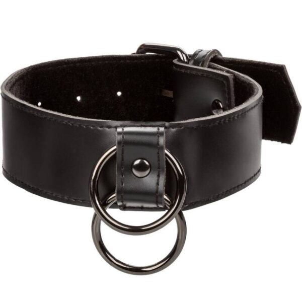 Calexotics - Euphoria Collar Con Correa De Cadena - Imagen 7