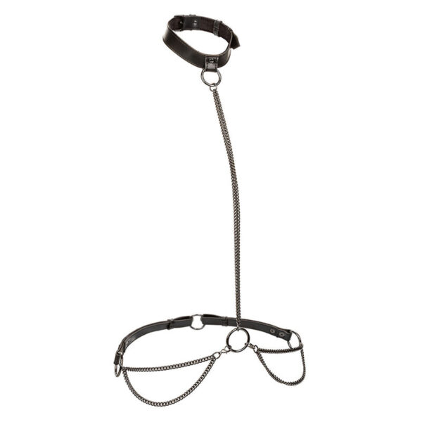 Calexotics - Euphoria Collar Halter Y Correa Con Cadena Talla Plus - Imagen 2