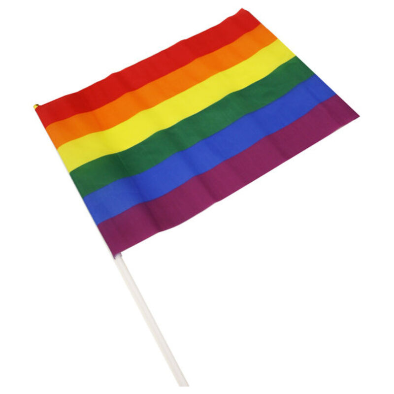 Pride - Banderin Grande Bandera Lgbt 1 Pride - Banderin Grande Bandera Lgbt