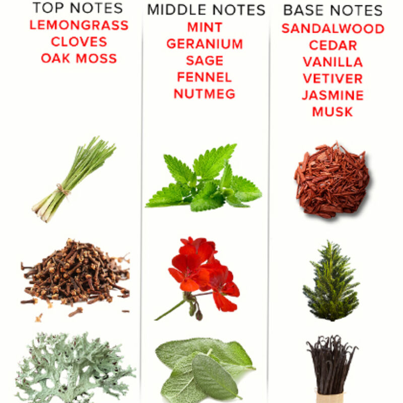 Eye Of Love - Eol Phr Perfume Deluxe 50 Ml - Romantic 4 Eye Of Love - Eol Phr Perfume Deluxe 50 Ml - Romantic - Imagen 4