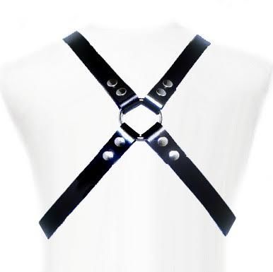 Leather Body - Basic Harness 1 Leather Body - Basic Harness
