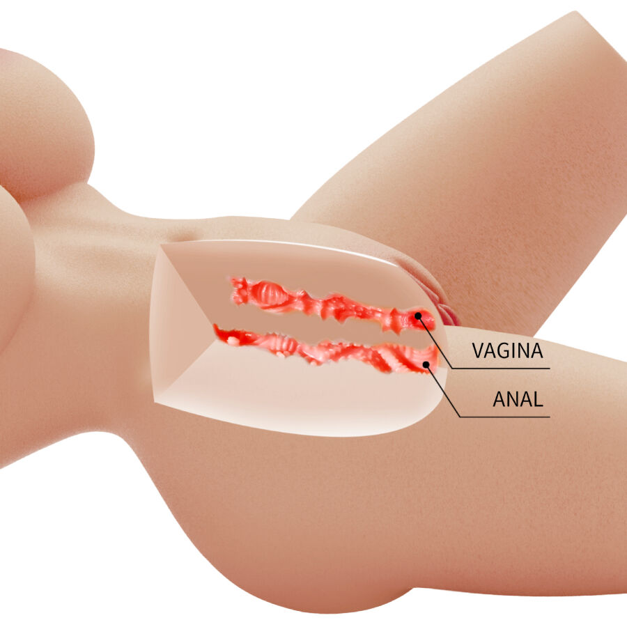 Crazy Bull - Lily Torso Femenino Realista Vagina Y Anal 4 Kg 7 Crazy Bull - Lily Torso Femenino Realista Vagina Y Anal 4 Kg - Imagen 7