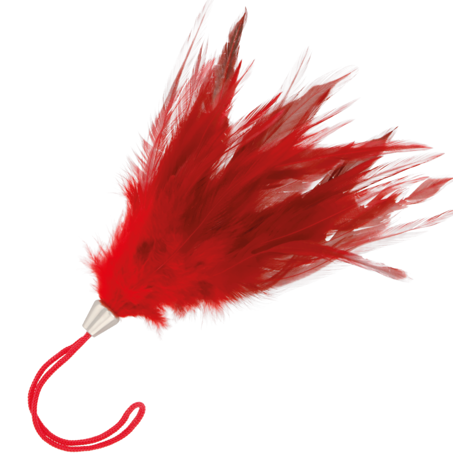 Darkness - Pluma Estimuladora Rojo 17Cm 1 Darkness - Pluma Estimuladora Rojo 17Cm