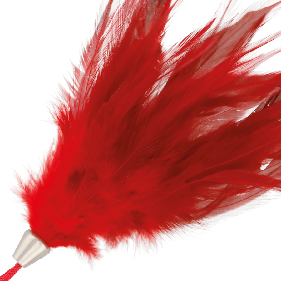 Darkness - Pluma Estimuladora Rojo 17Cm 2 Darkness - Pluma Estimuladora Rojo 17Cm - Imagen 2
