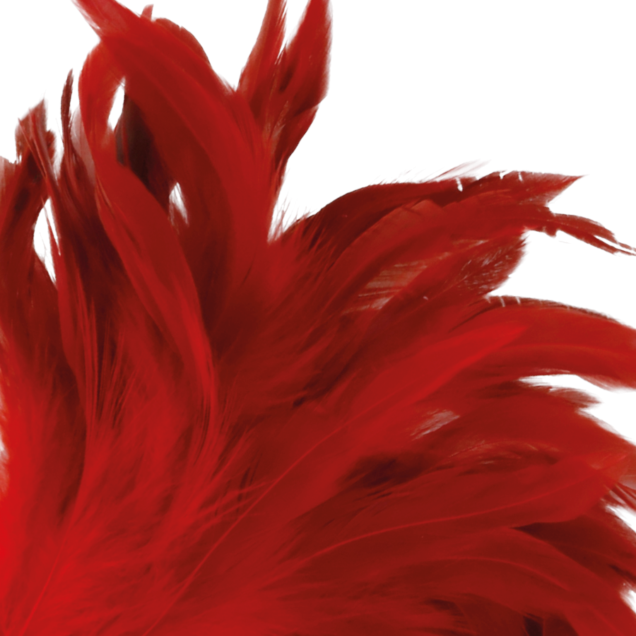 Darkness - Pluma Estimuladora Rojo 24Cm 2 Darkness - Pluma Estimuladora Rojo 24Cm - Imagen 2