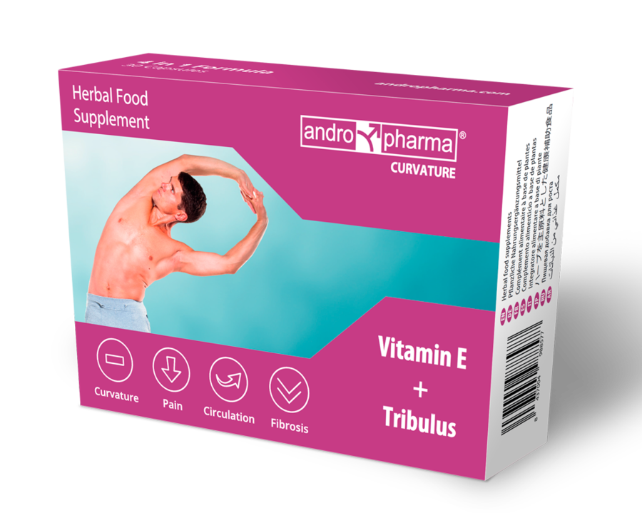 Andropharma Curvature – Complemento Alimenticio Para El Bienestar Masculino 2 Andropharma Curvature – Complemento Alimenticio Para El Bienestar Masculino - Imagen 2