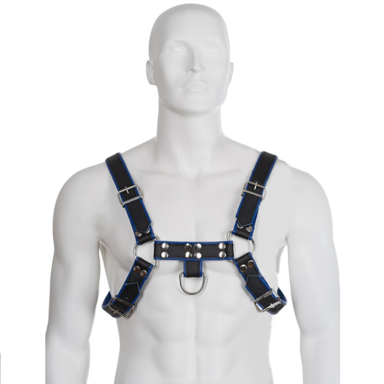 Leather Body - Arnés Cuero Azul Y Negro Chest Bulldog 1 Leather Body - Arnés Cuero Azul Y Negro Chest Bulldog